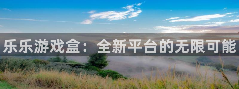 高德娱乐4主管：乐乐游戏盒：全新平台的无限可能