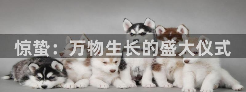 高德娱乐娱乐：惊蛰：万物生长的盛大仪式