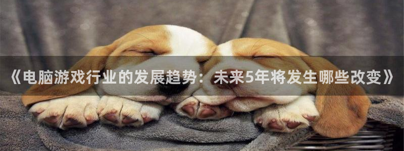 高德娱乐登录网址：《电脑游戏行业的发展趋势：未来5年将发生哪