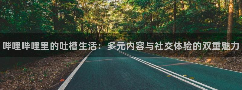 高德娱乐注册网站：哔哩哔哩里的吐槽生活：多元内容与社交体验的