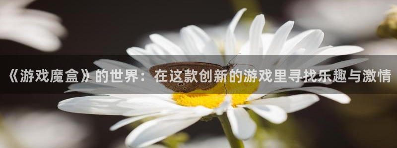 高德娱乐4招商：《游戏魔盒》的世界：在这款创新的游戏里寻找乐
