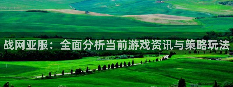 高德娱乐平台登录线路：战网亚服：全面分析当前游戏资讯与策略玩