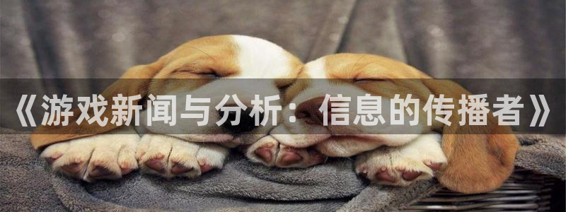 高德娱乐平台登陆：《游戏新闻与分析：信息的传播者》