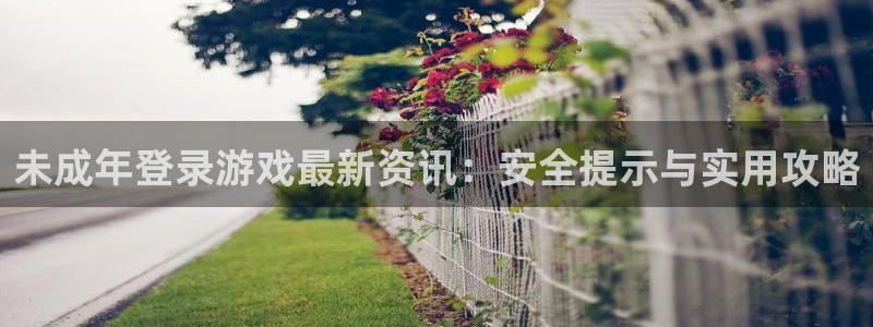 高德娱乐开户测速：未成年登录游戏最新资讯：安全提示与实用攻略