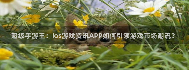 高德娱乐登陆：超级手游王：ios游戏资讯APP如何引领游戏市