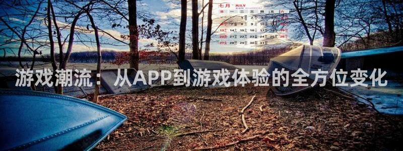 高德娱乐娱乐是真的吗：游戏潮流：从APP到游戏体验的全方位变